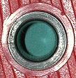 Click to see C-Sp.jpg